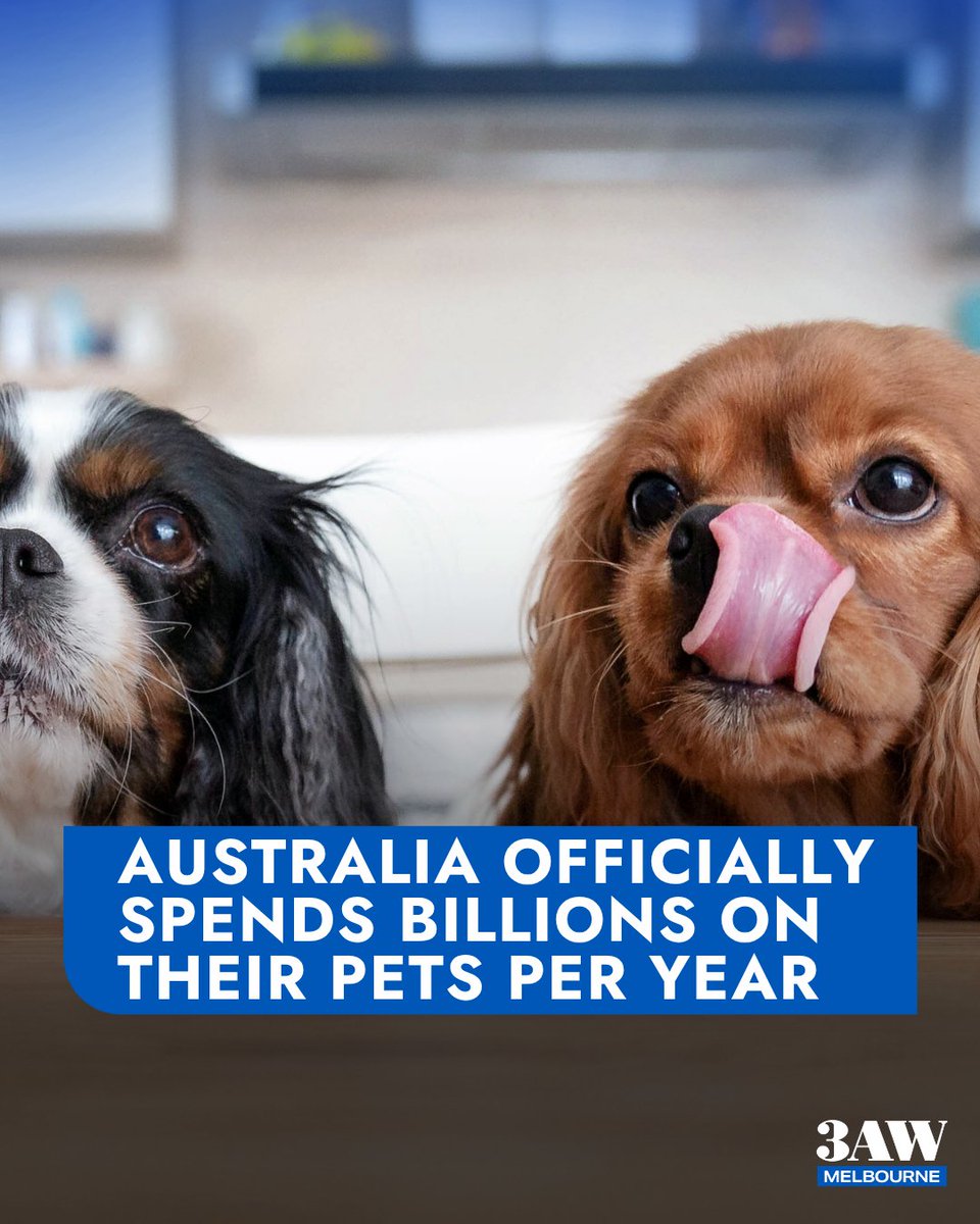 3AW Melbourne tweet media