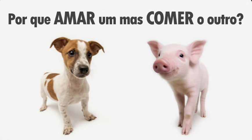 Página Séria. tweet media