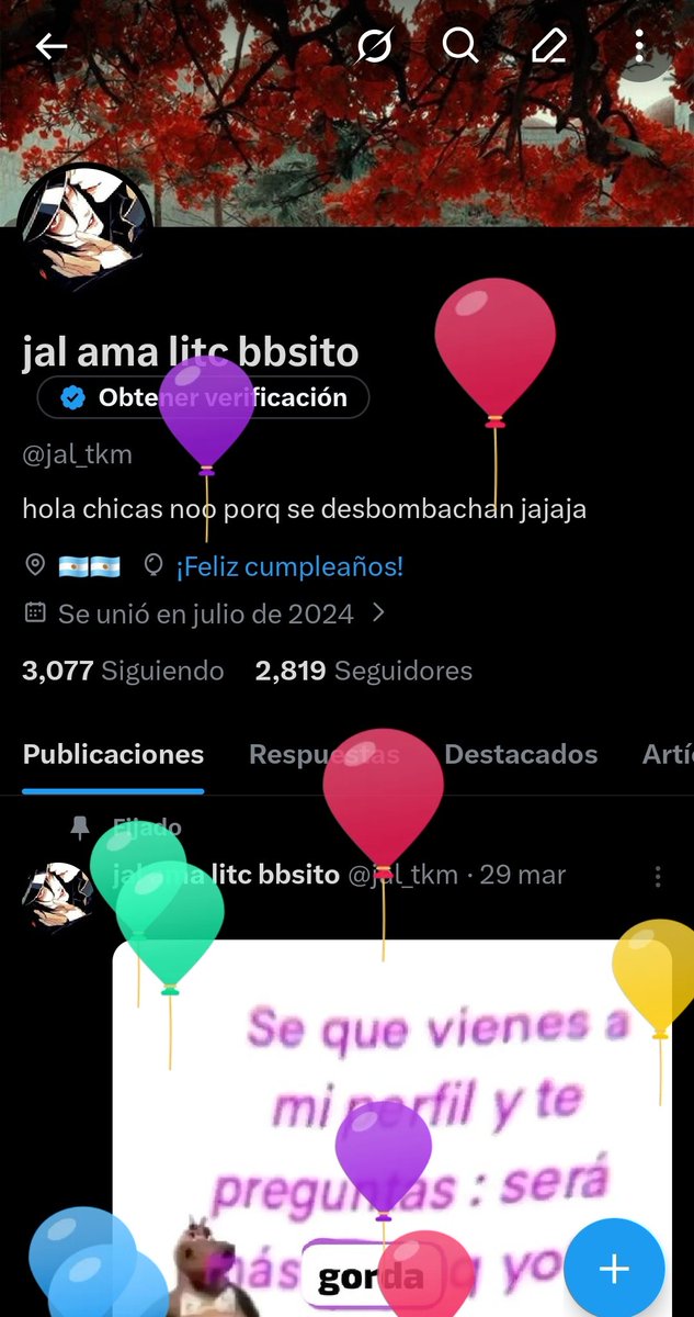 jal ama litc bbsito tweet media