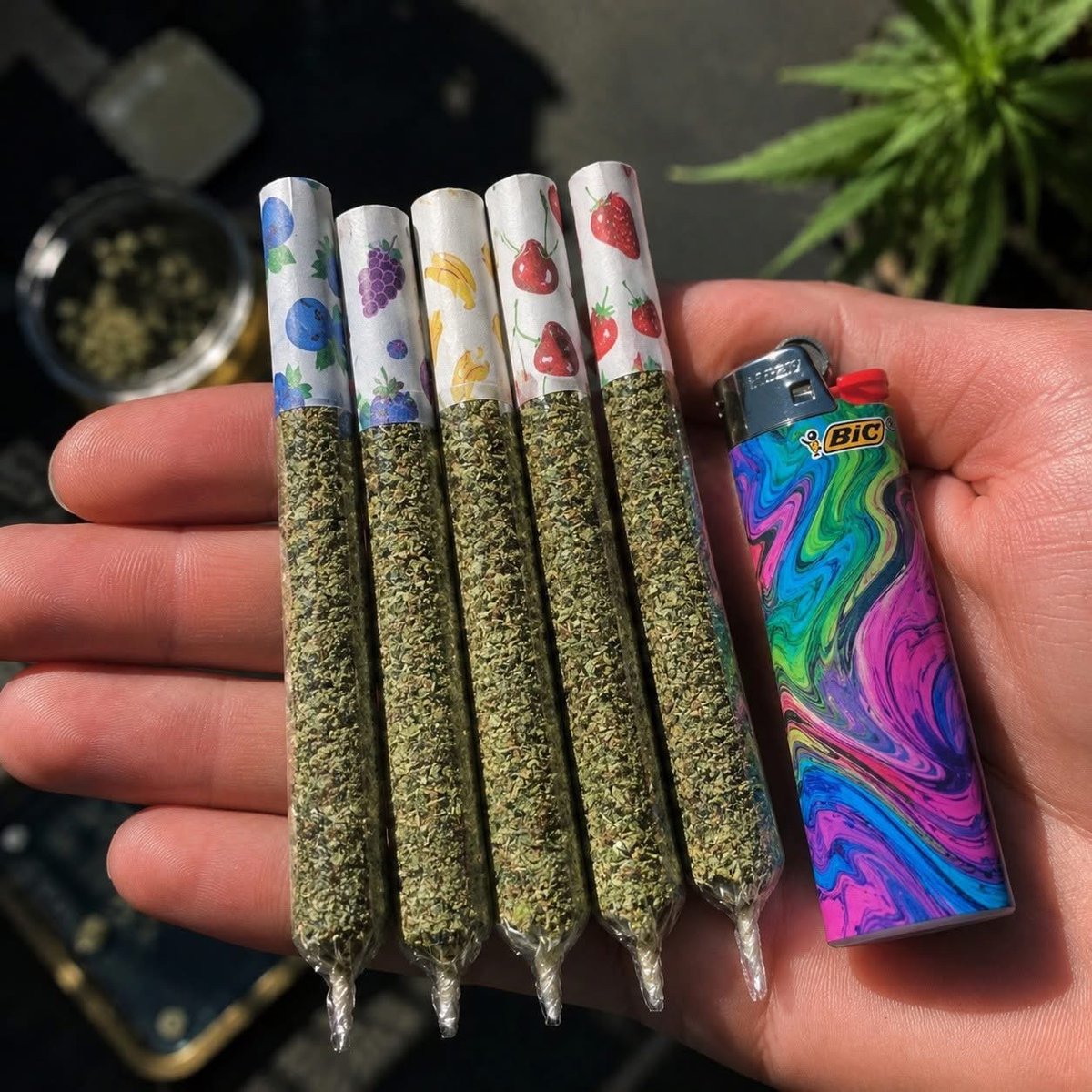 STONERS R US 🍃 tweet media