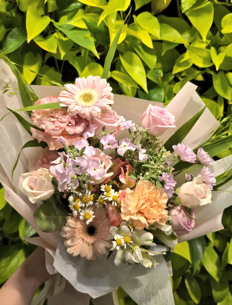 보슬비🌱 tweet media