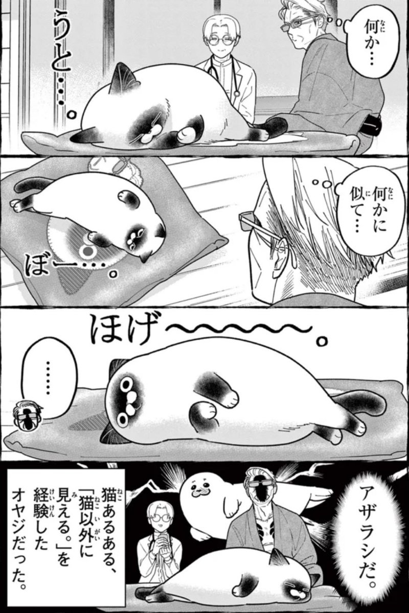オヤジとにゃん吉🐾公式 (@oyazitonyankiti) / Posts / X