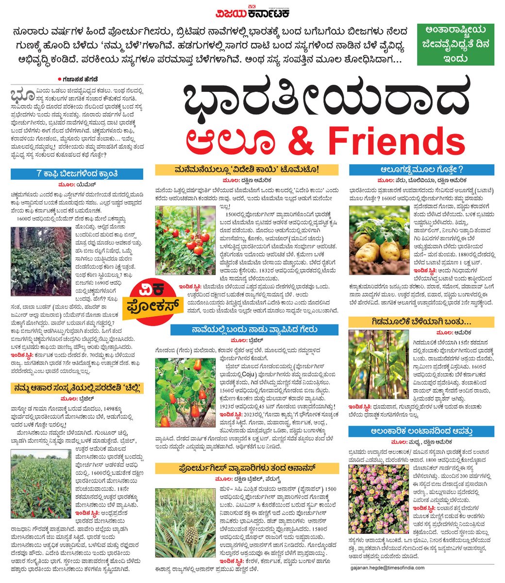 VK Editor tweet media