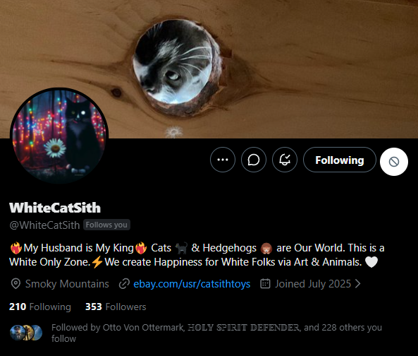 Sam - Quality Learing Center Graduate tweet media