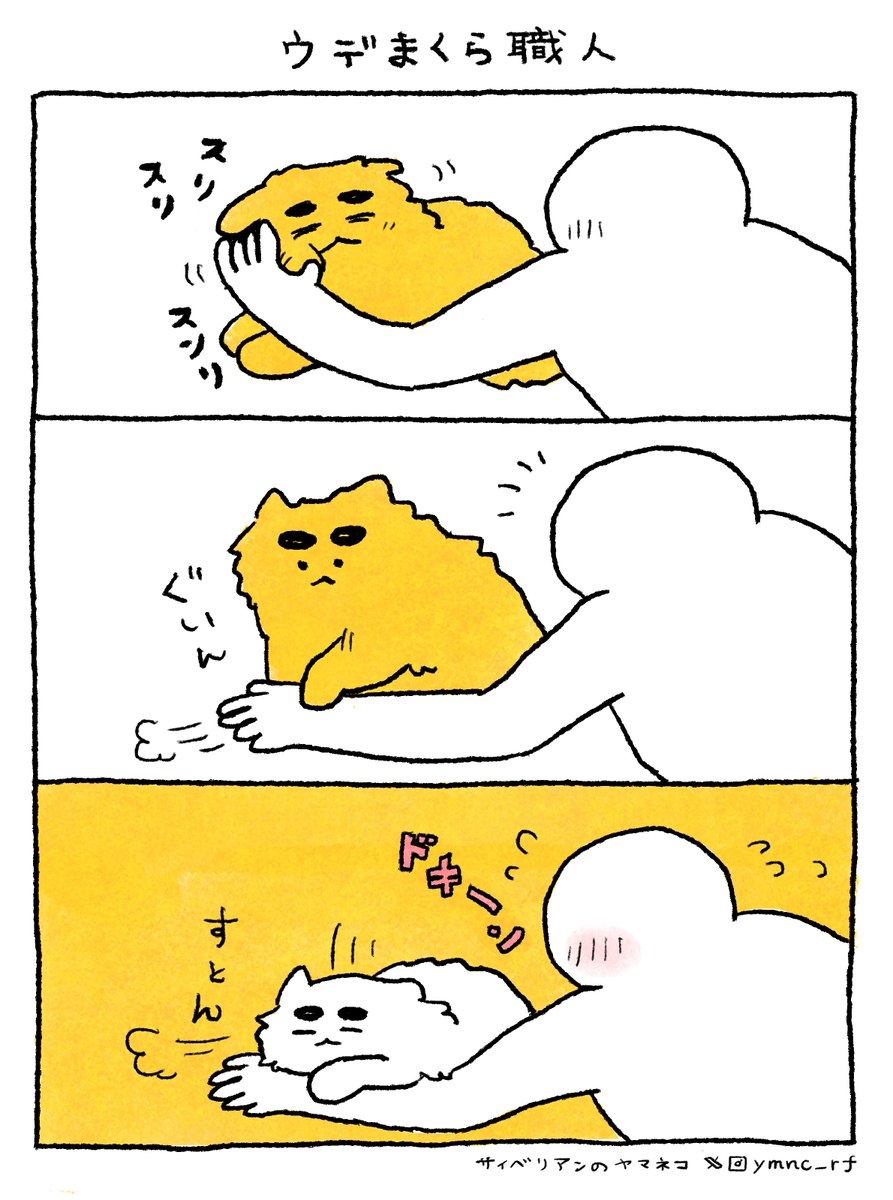 ヤマネコ tweet media