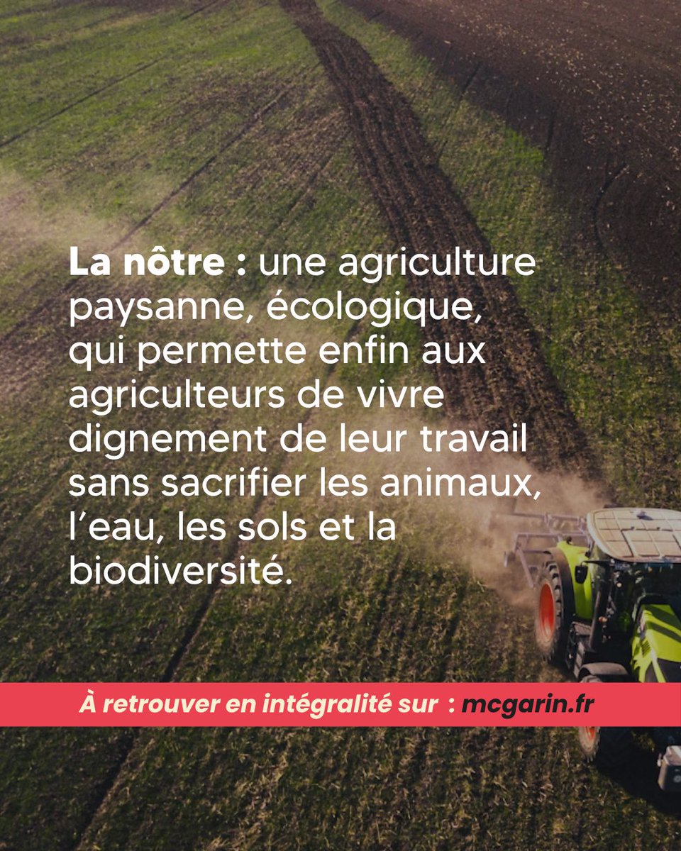 Marie-Charlotte Garin tweet media