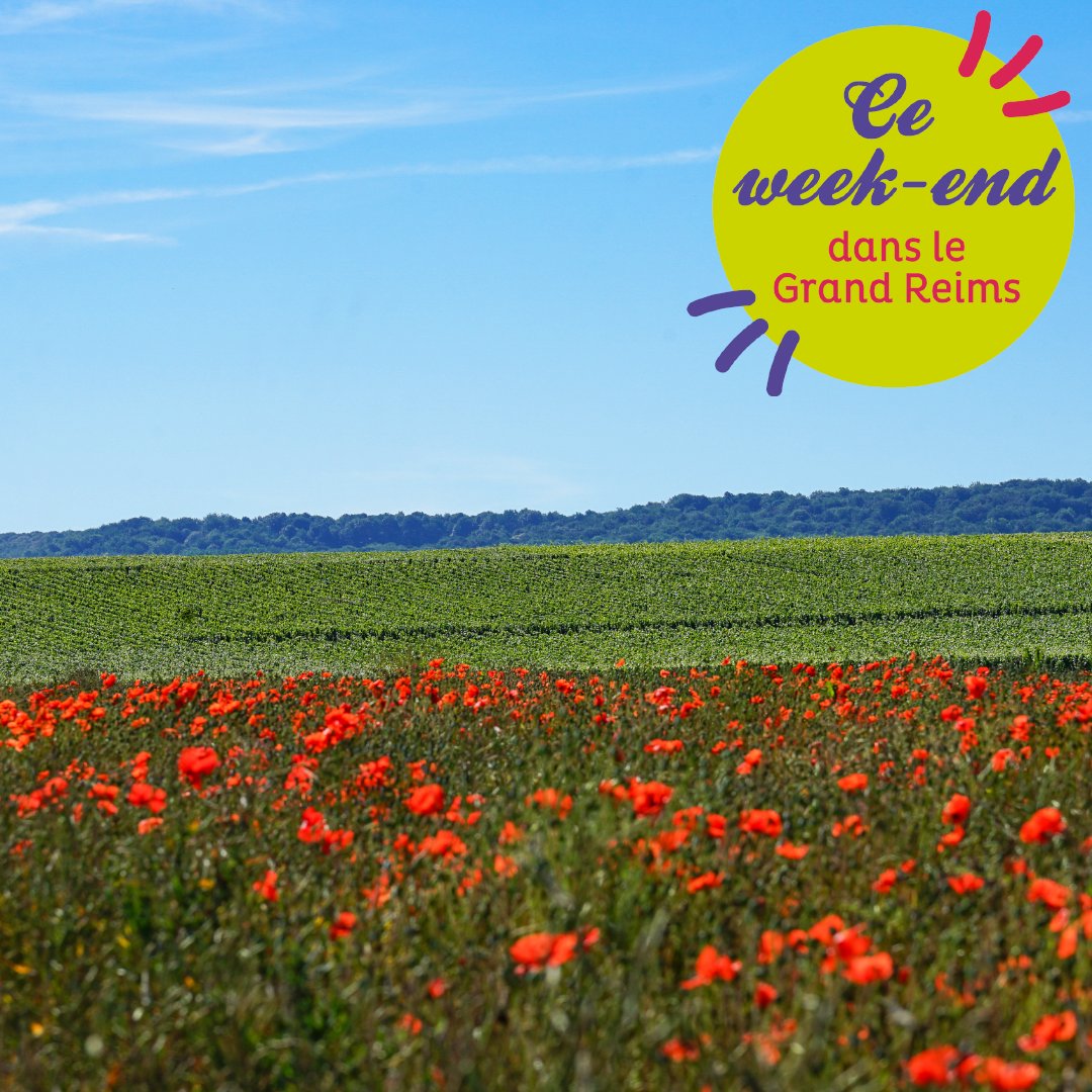 Grand Reims tweet media