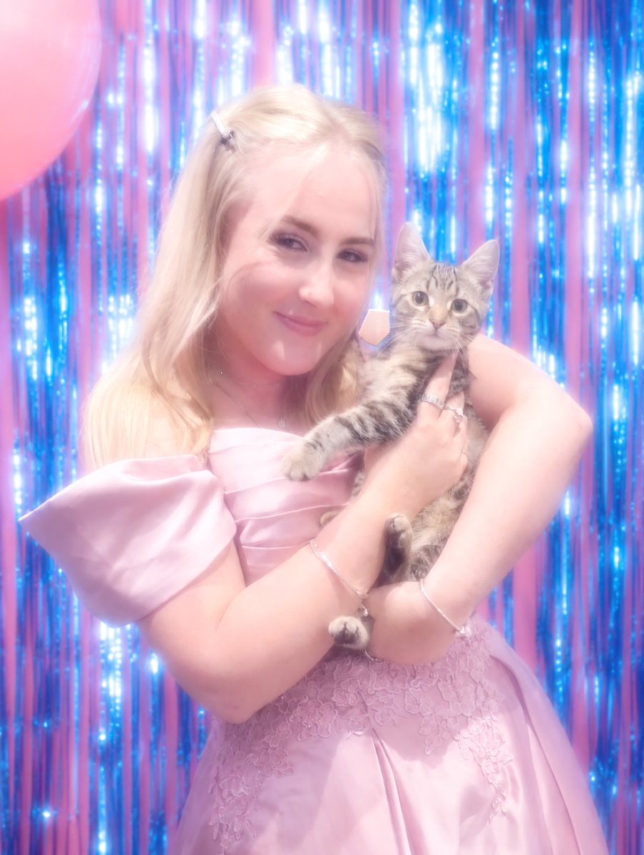 ⋆✴︎˚。⋆ Daisy ⋆✴︎˚。⋆ tweet media