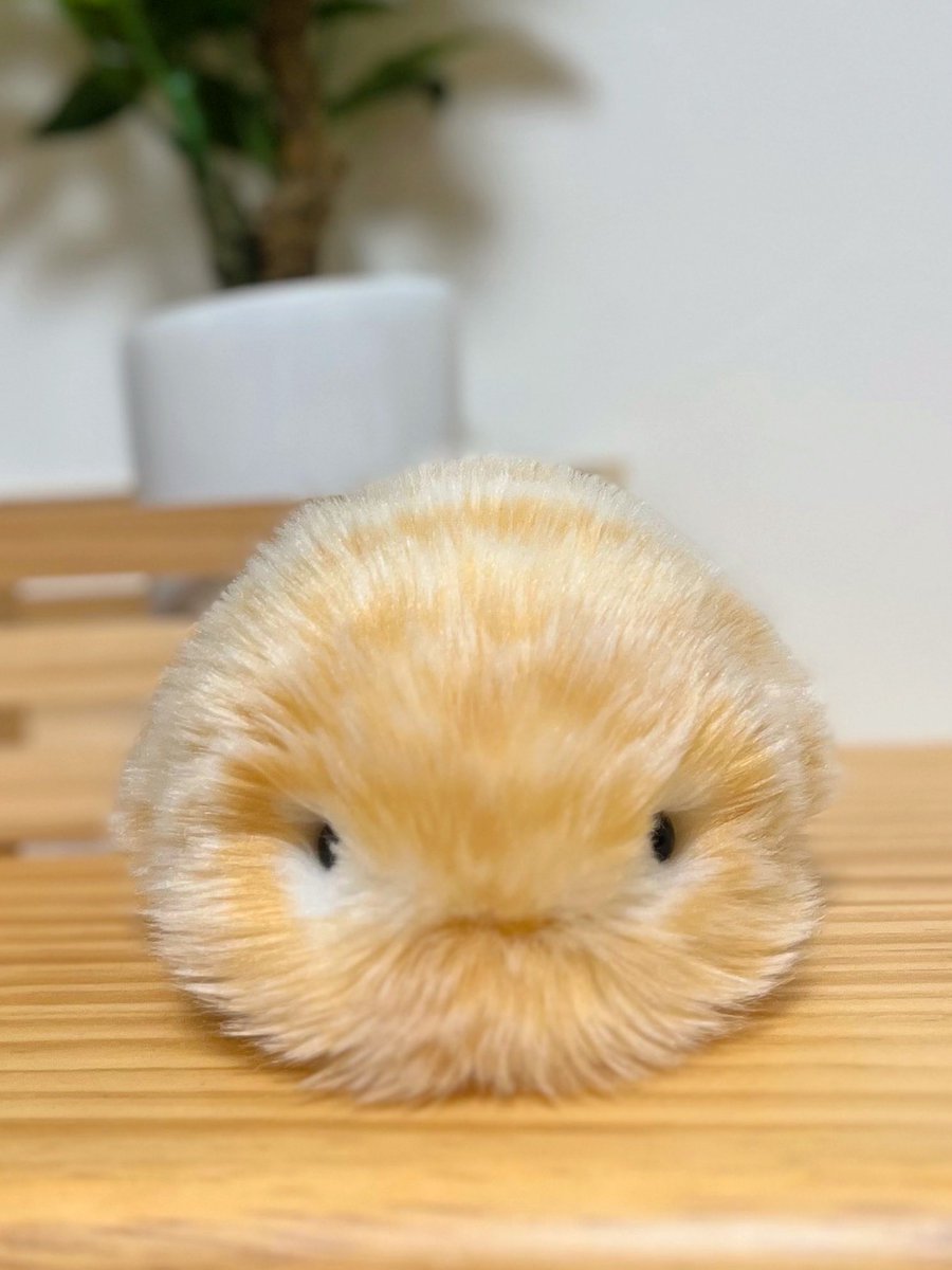 うりママ tweet media