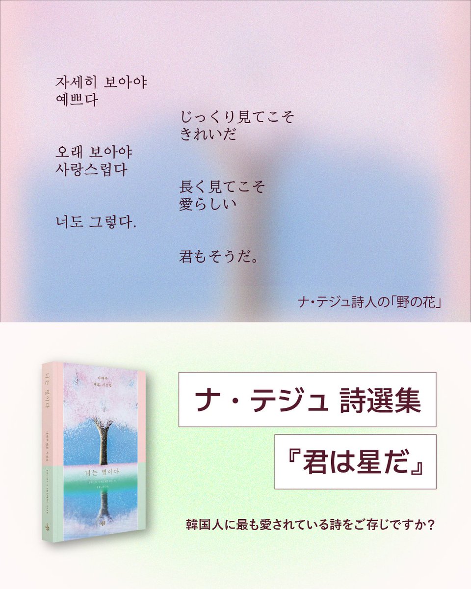 🌿 韓国で“国民詩人”として愛されるナ・テジュ詩人の詩選集『君は星だ