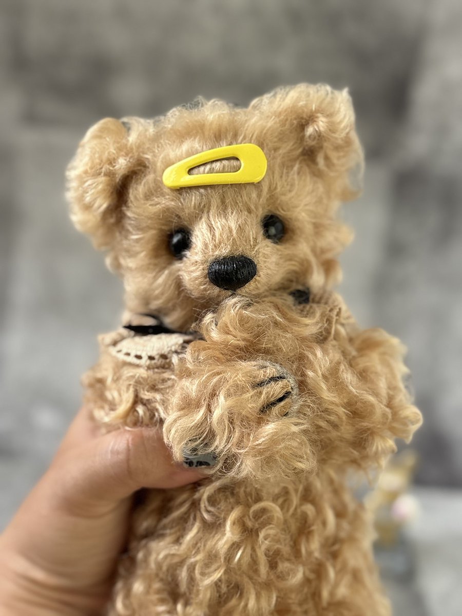 Teddy☆kuma (@Teddykuma630) / Posts / X