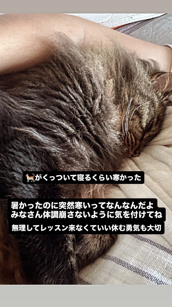 u-suke Ishii 石井裕介(個別音楽教室 楓musics) tweet media