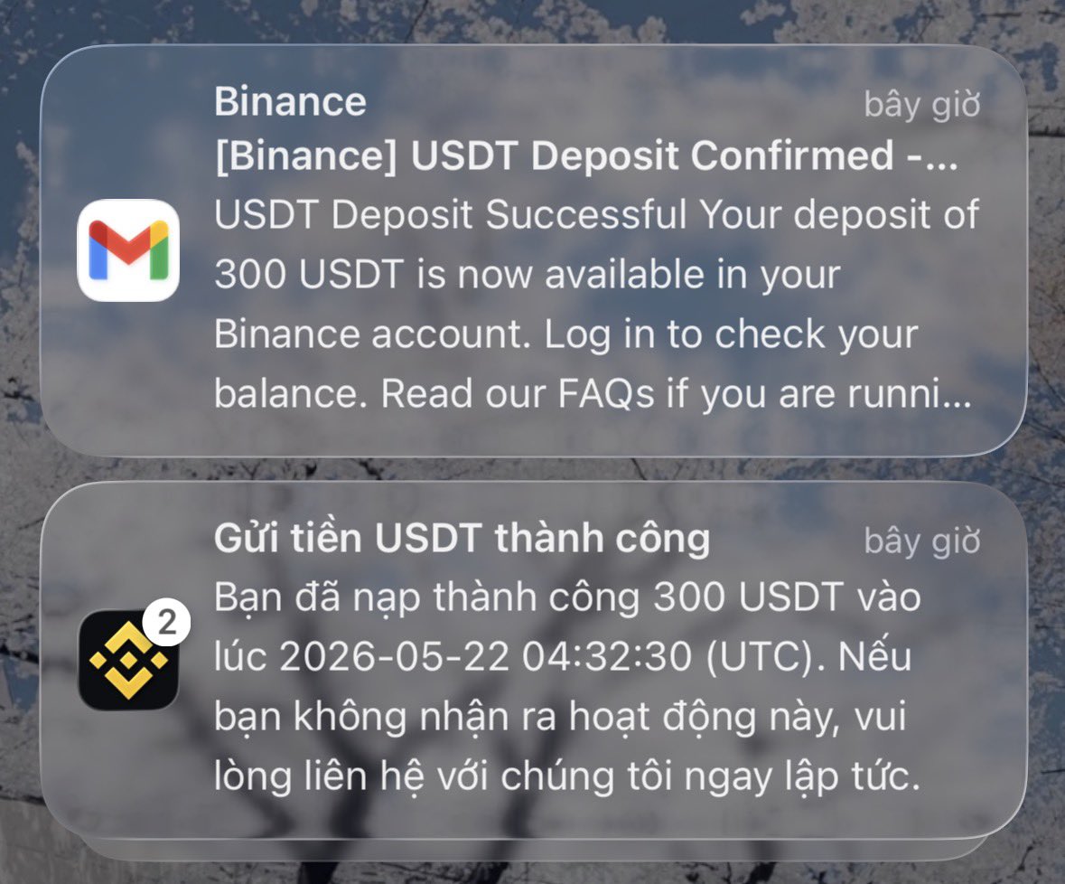 Thành Phan tweet media