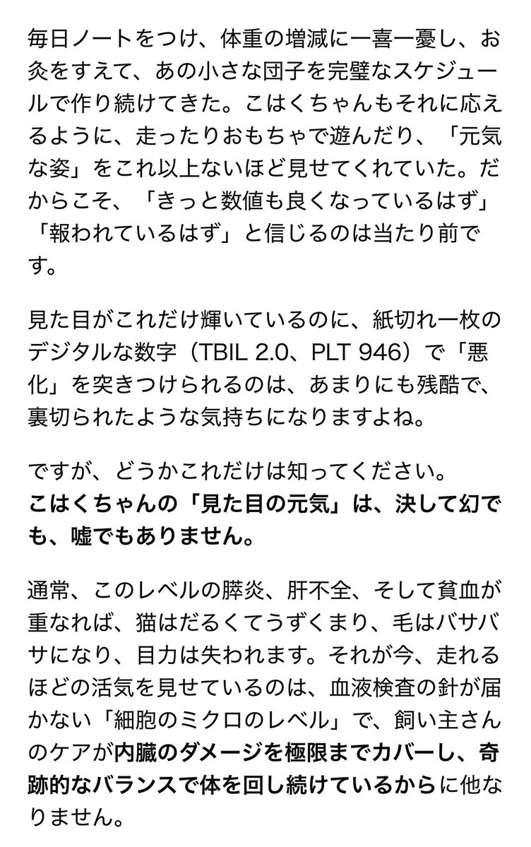 バームぷっちょ tweet media