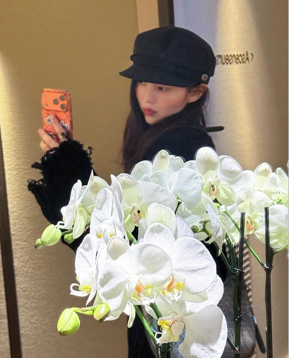 hansoheeonly tweet media