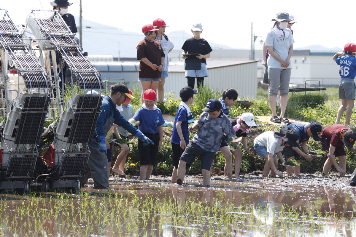 北海道 比布町(ぴっぷちょう) tweet media