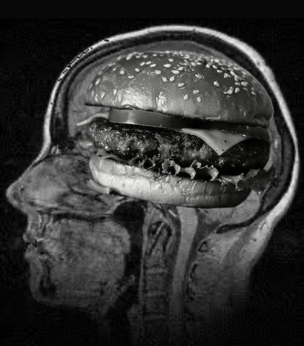 arielvikara's tweet photo. got a CT done https://t.co/Hn2itgg6UJ