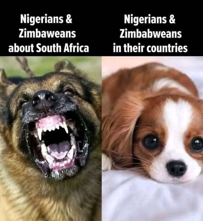 Nongilandi 🇿🇦 tweet media