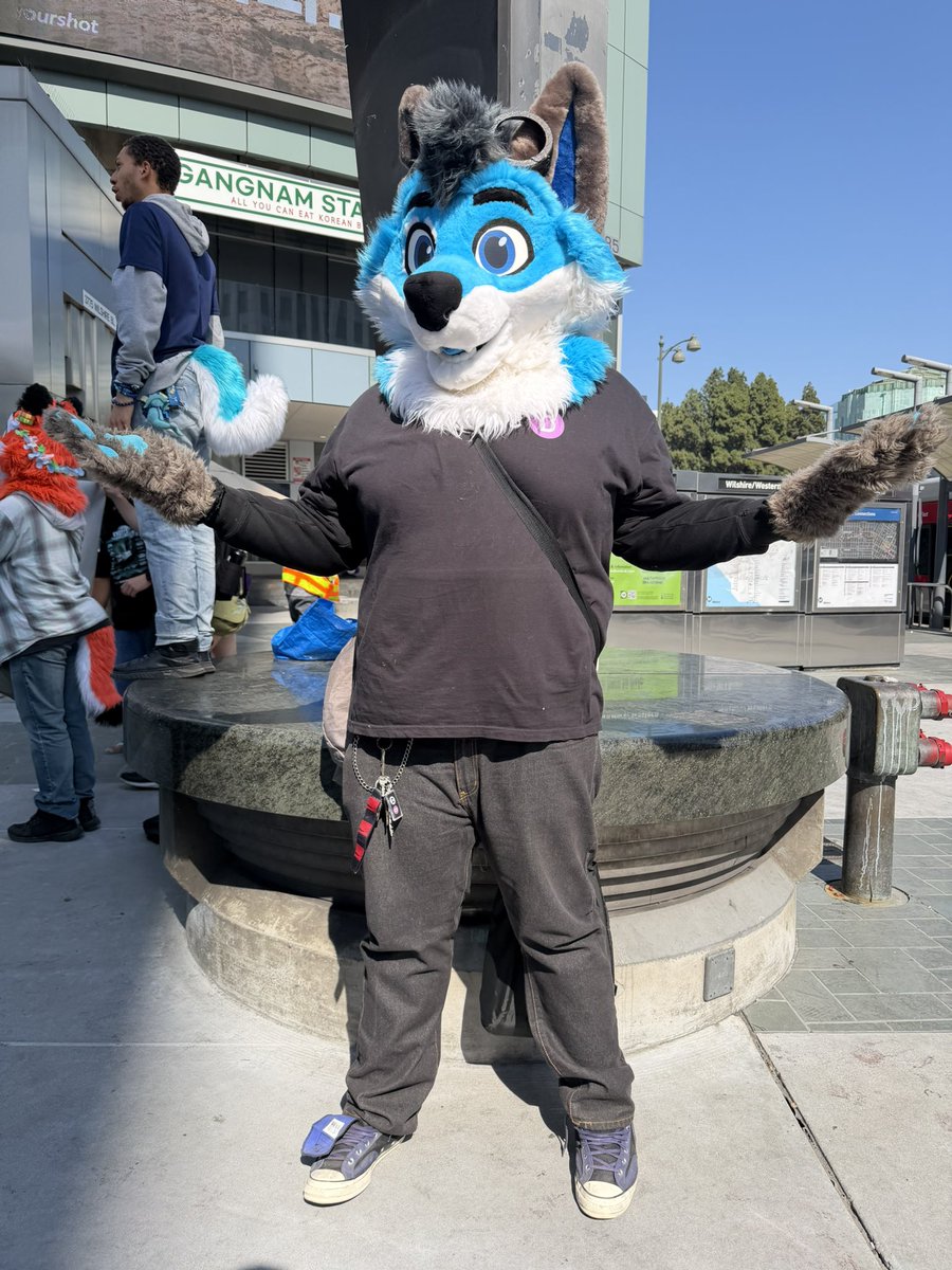 southkitsunescopes.bsky.social🦊 🦁 tweet media