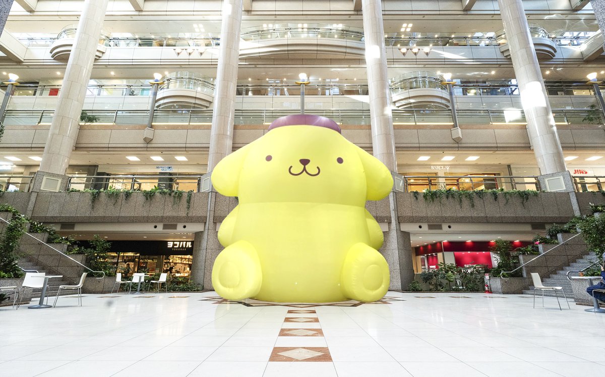 ハマち⬅横浜で暮らそう tweet media