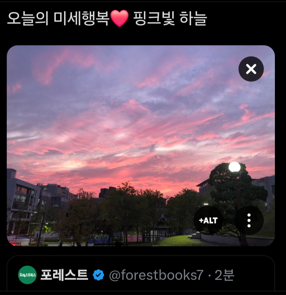 포레스트 tweet media