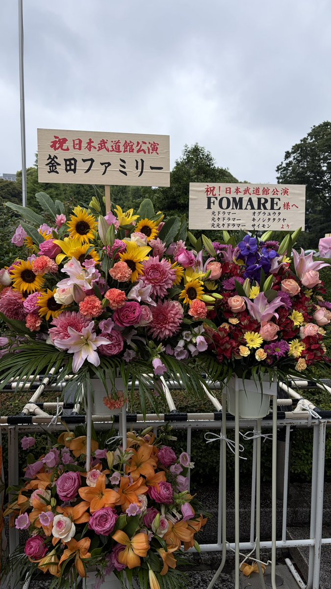 かぼちゃ tweet media