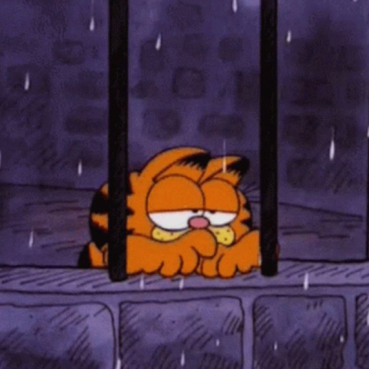 fat cat tweet media