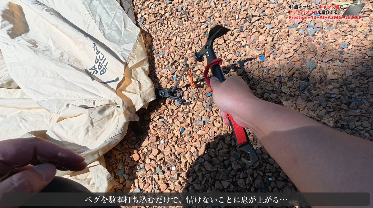 カピさん△ tweet media