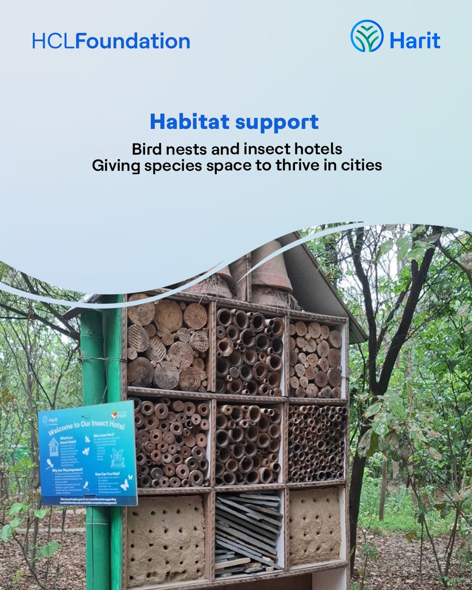 HCLFoundation tweet media