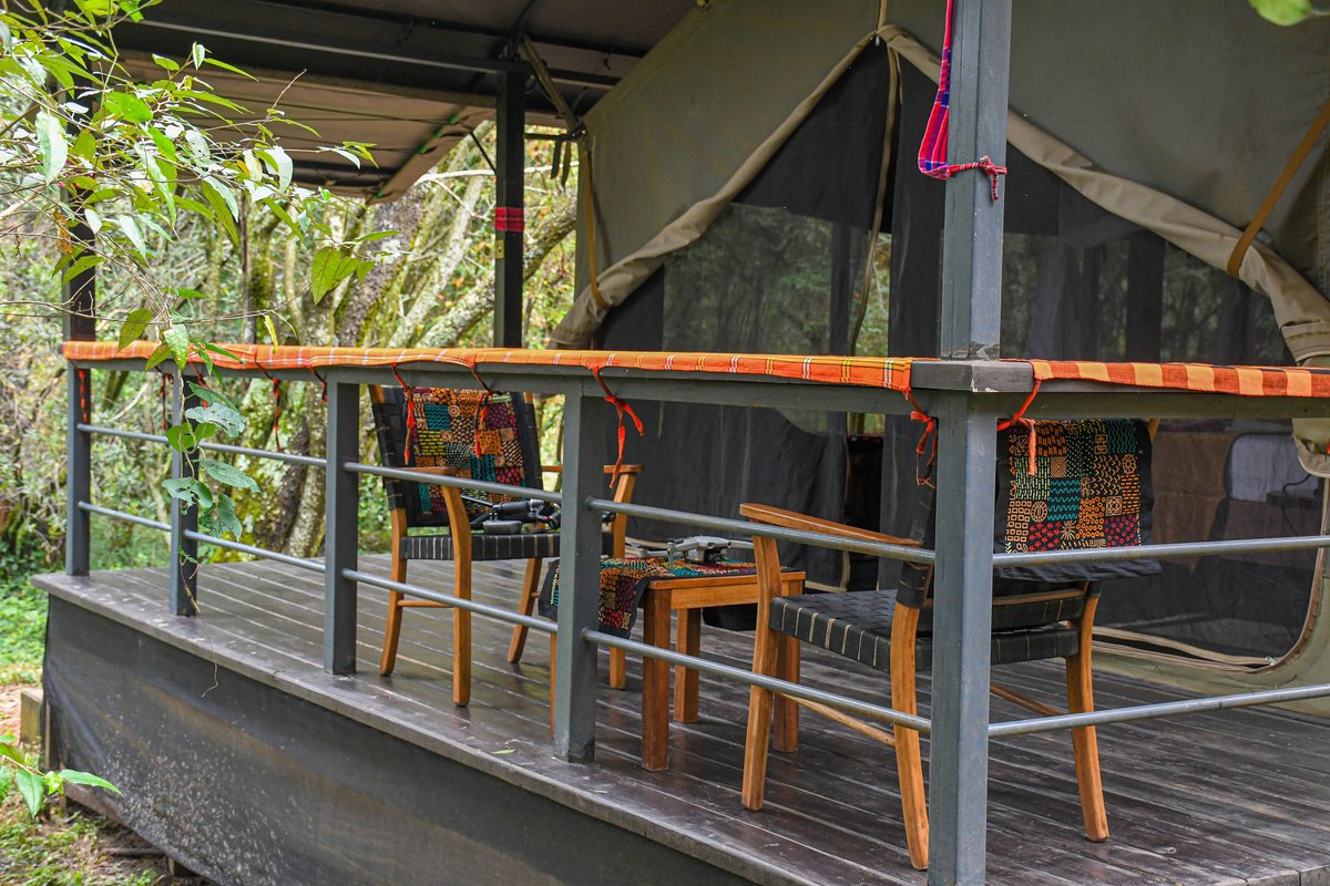 MiniBreaks_'s tweet photo. Outside your tent there’s a cozy patio, fresh air, and nature doing its thing. 

Question is… are you waking up early for sunrise coffee or kusema tu “5 more minutes”

Book (+254) 0758955220
https://t.co/SaeoWKMZ6Y https://t.co/o5w1lNAYR6