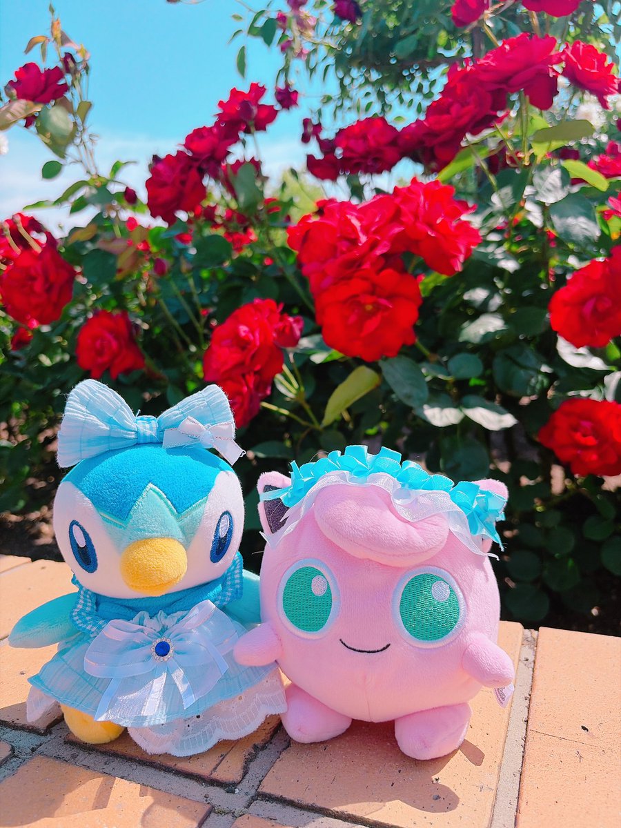 ru__chamaa's tweet photo. ぽちゃぷりゅ🩵🩷 https://t.co/GWaka8GCYU
