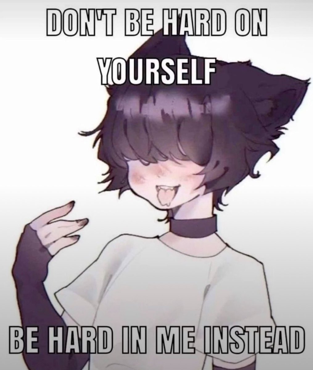 Femboy Gang tweet media