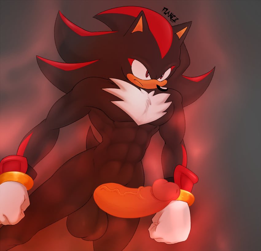shadow the hedgehog tweet media