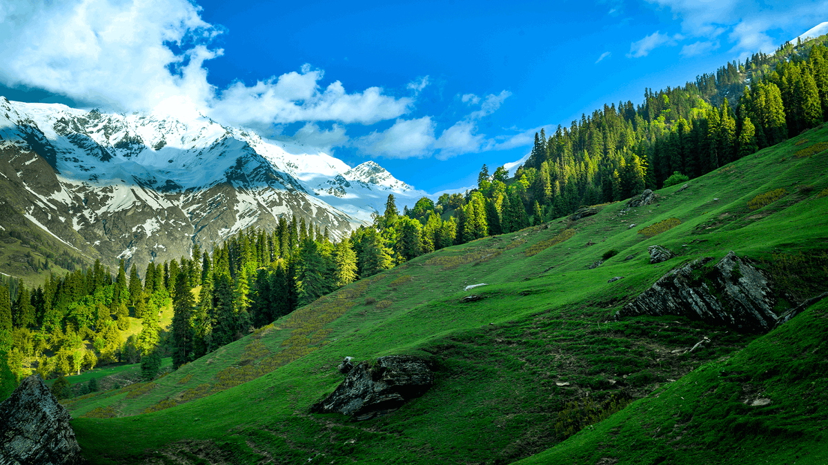 India Aesthetica tweet media