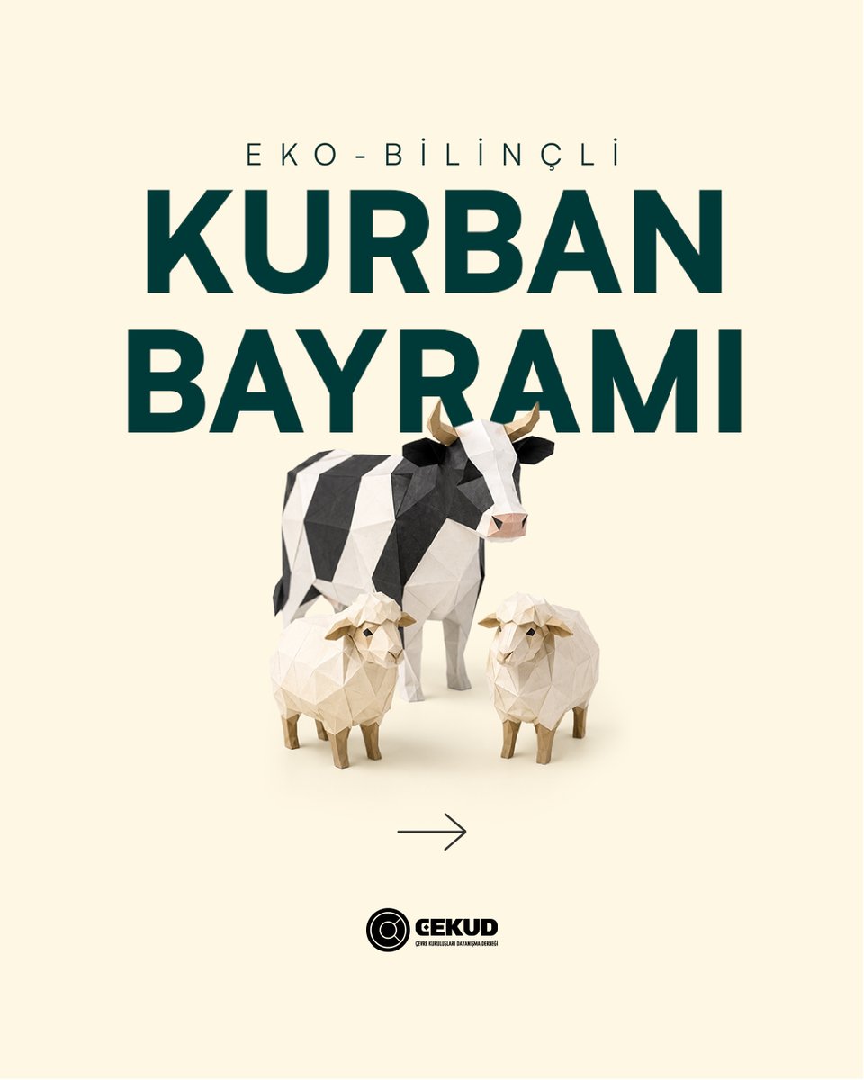 ÇEKUD tweet media