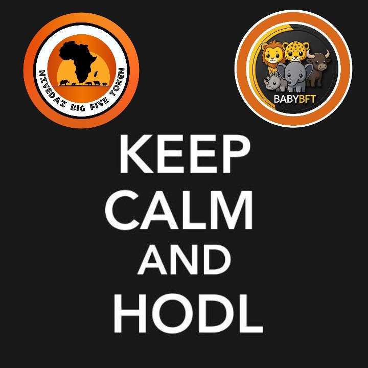 NEWNESSLOVE88's tweet photo. @JR5_Crypto #BFT @five_token 
#BBFT @BabyBft https://t.co/KInextXWj3