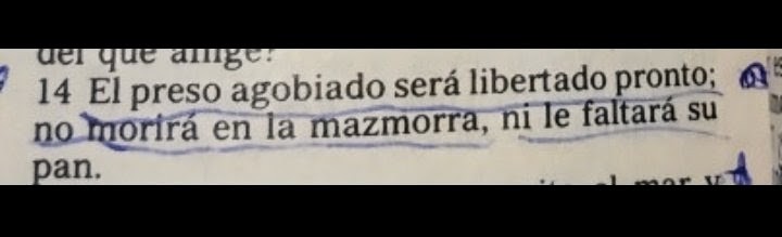 RAMON CIPRIAN tweet media