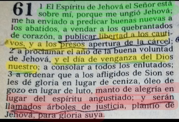 RAMON CIPRIAN tweet media