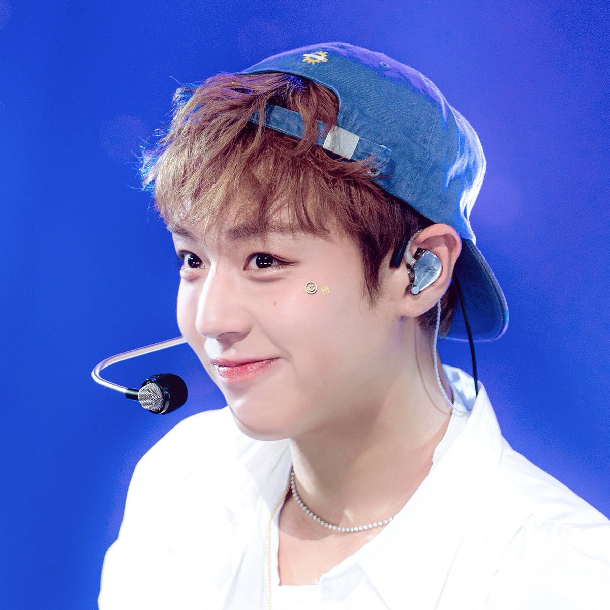 빵 tweet media