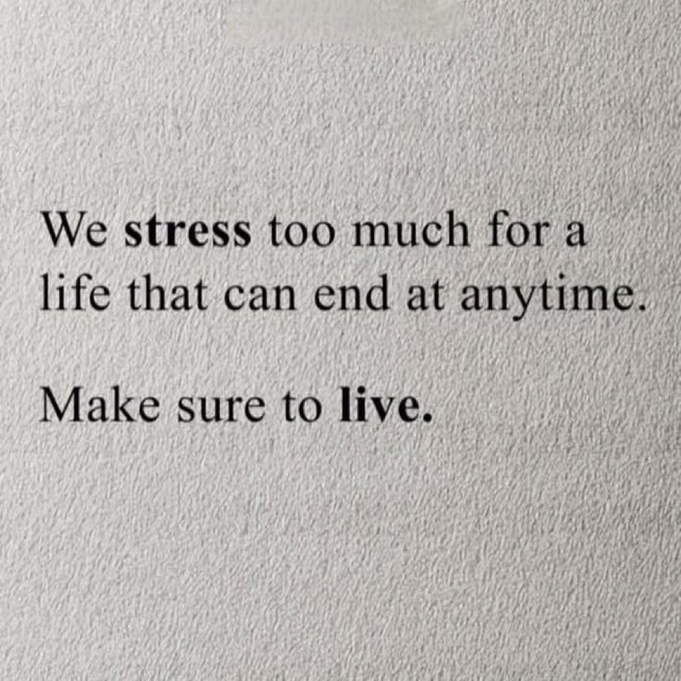 Mindful Maven tweet media