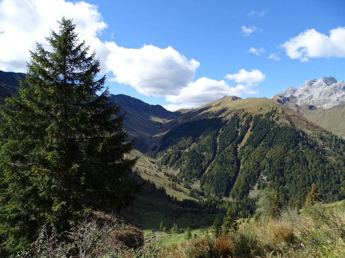 TurismoFVG tweet media