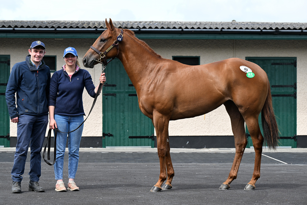Tattersalls_ie's tweet photo. The O'Donnell family of Bramblestown see a big upgrade for their Bayside Boy filly (Lot 49) who sells for €175,000, previously sourced as a yearling for €20,000 🚀

The half sister to Group 3 winners Burnt Sugar and Brown Sugar was bought for Rabbah Bloodstock

#TattsIreBU https://t.co/uDo0pGFyaY