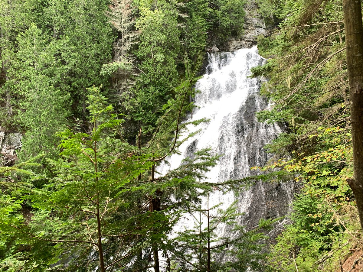 violin4all's tweet photo. May 22nd is International Day for Biological Diversity 2026. Every small positive action taken around the world touches the Earth as we strive to 
live in harmony with nature. https://t.co/a2WcoiELGZ