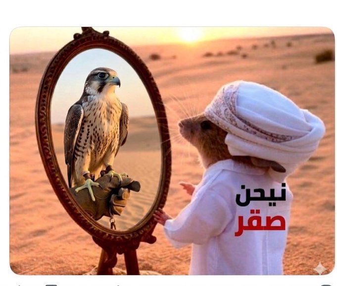 تايقر tweet media