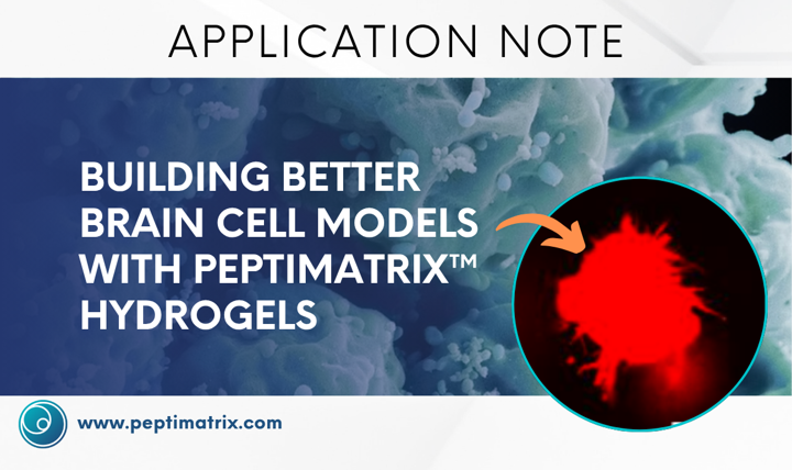 PeptiMatrix's tweet photo. What makes a better brain cell model?

Our application note explores how tubeable and animal-free PeptiMatrix™ hydrogels help create reproducible 3D neural cell culture models.

Read the full note here:
https://t.co/JG0SzMGFx2

#Neuroscience #3DCellCulture #Biotech https://t.co/EX4kFZ0ZA6