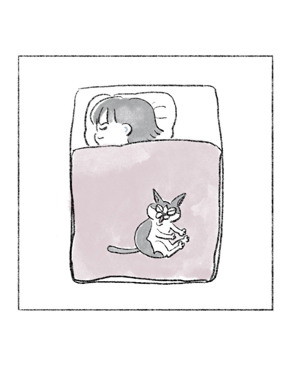 のなか海 書籍発売😽 tweet media