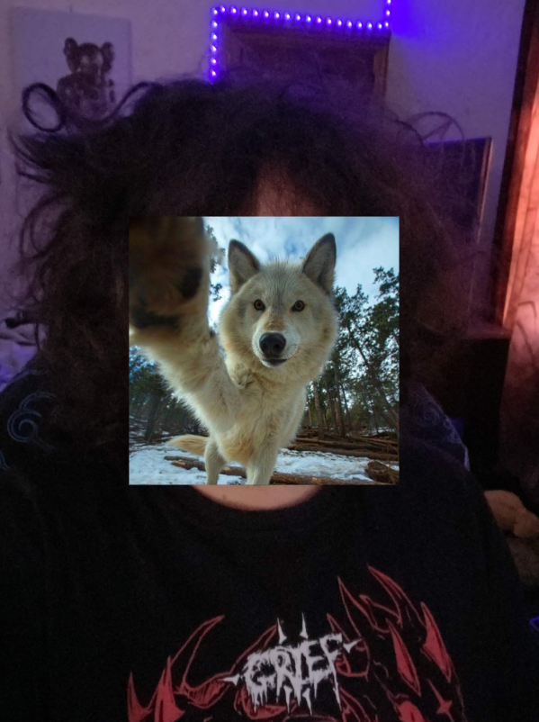 woof "pronouns" woofington tweet media