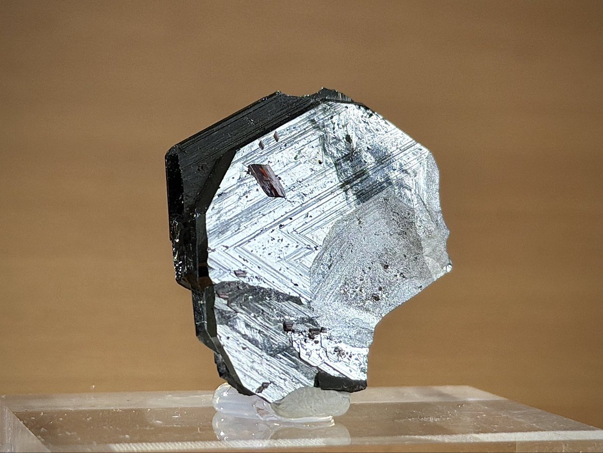 赤鉄鉱 hematite

1〜2枚目は🇿🇦南アフリカのWessels鉱山産
カメラと相対させるとハッキリとこちらが写り込む程の端正な結晶面が特徴で、鏡鉄鉱の異名は伊達じゃない!
3〜4枚目は🇨🇭スイスのCavradi渓谷産
こちらは条線の幾何学模様と、表面に散りばめられたルチルの結晶が特徴
#東京国際ミネラルフェア 