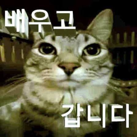 버터 tweet media