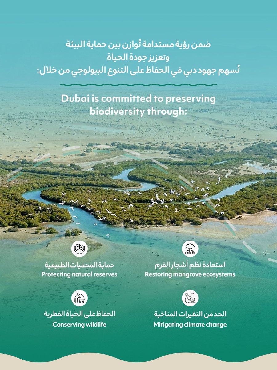 deccadxb's tweet photo. التنوع البيولوجي أساس النظم البيئية والتوازن المناخي

#اليوم_الدولي_للتنوع_البيولوجي 
#هيئة_دبي_للبيئة_والتغير_المناخي

Biodiversity is key to ecosystem balance and climate resilience

InternationalDayForBiologicalDiversity#
DECCA# https://t.co/TGUkJ2pxEo